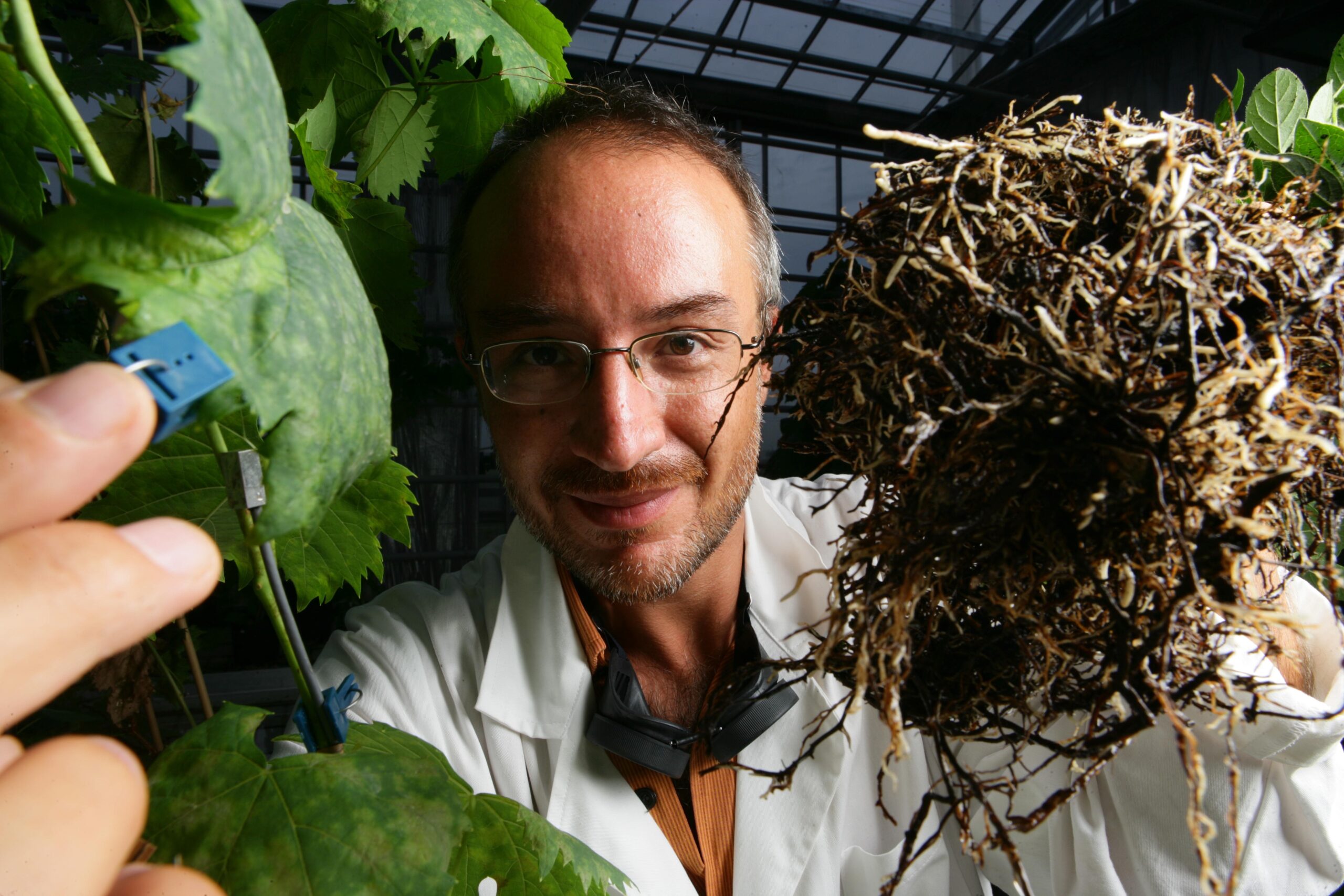 Stefano Mancuso